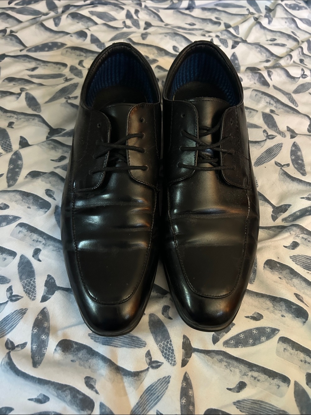 Steve Madden dress shoes